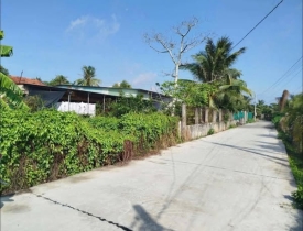 ban-dat-tho-cu-khu-vuc-loi-binh-nhon