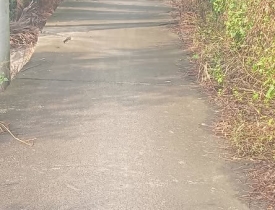 ban-lo-dat-mat-tien-dan-thuoc-my-phu-thu-thua-long-an